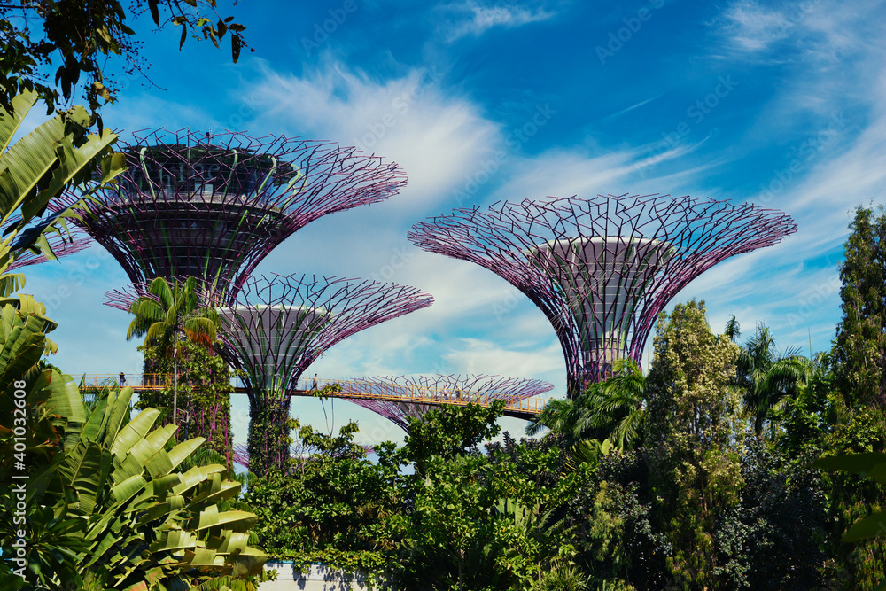 海湾旁的新加坡花园