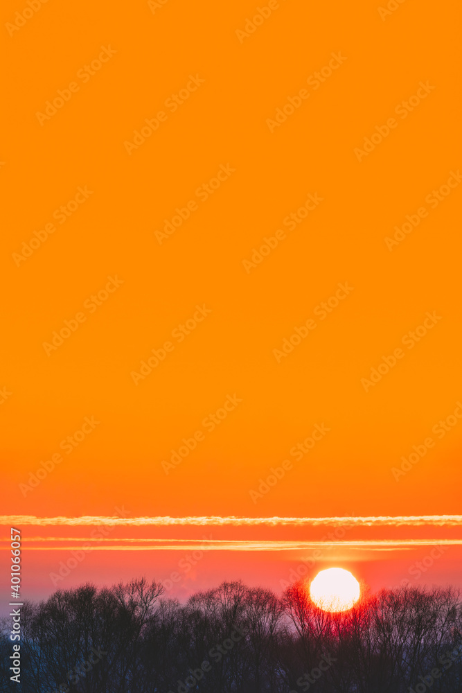Big Sun Rising Above Woods Or Forest. Orange Sunset Sky. Natural Colors Of Evening Sky At Sunset. Na