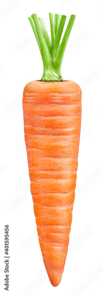 一个带修剪路径的成熟胡萝卜