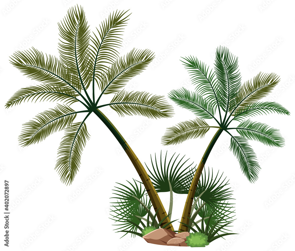 两棵白底带有自然元素的棕榈树