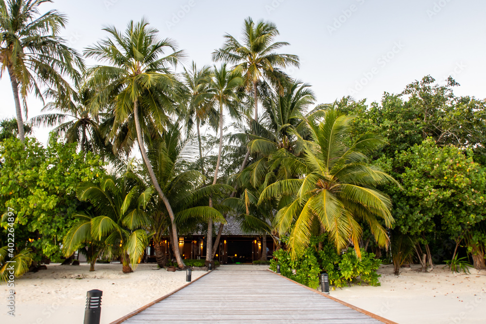 通往热带岛屿的木质码头，有郁郁葱葱的棕榈树和白色桑尼海滩，马尔代夫，象征