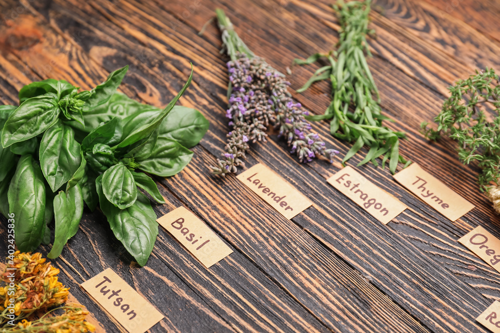 Composition with different herbs on wooden background