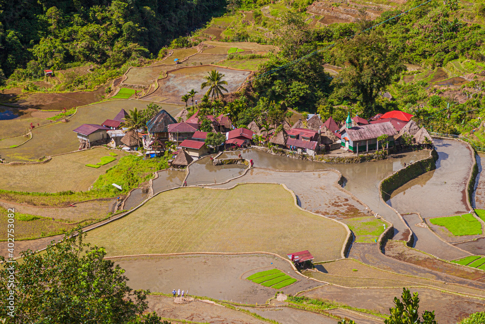 菲律宾吕宋岛巴纳埃附近的基纳金水稻种植村