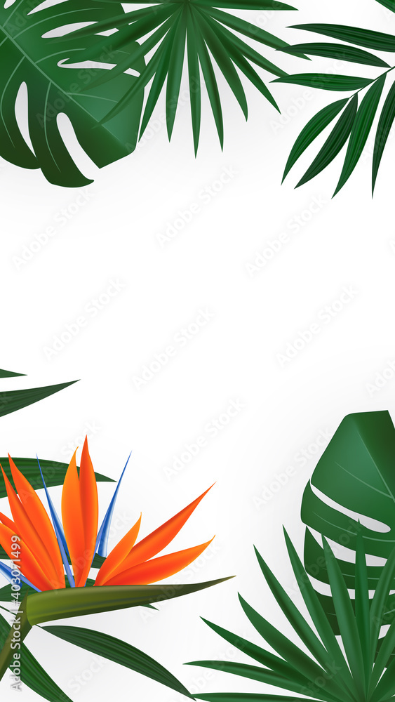 Natural Realistic Green Palm Leaf with Strelitzia Flower Tropical Background. Vector illustration EP