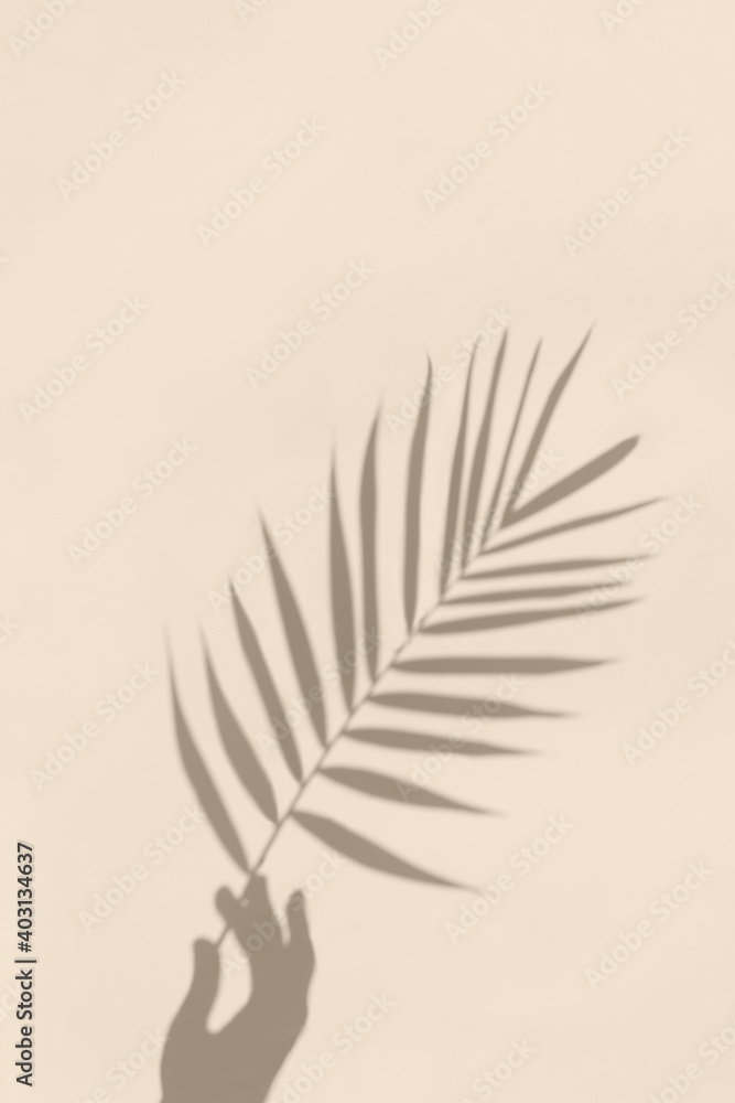Soft shadows of hand holding a palm leaf on textured concrete background. Summer tropical minimal co