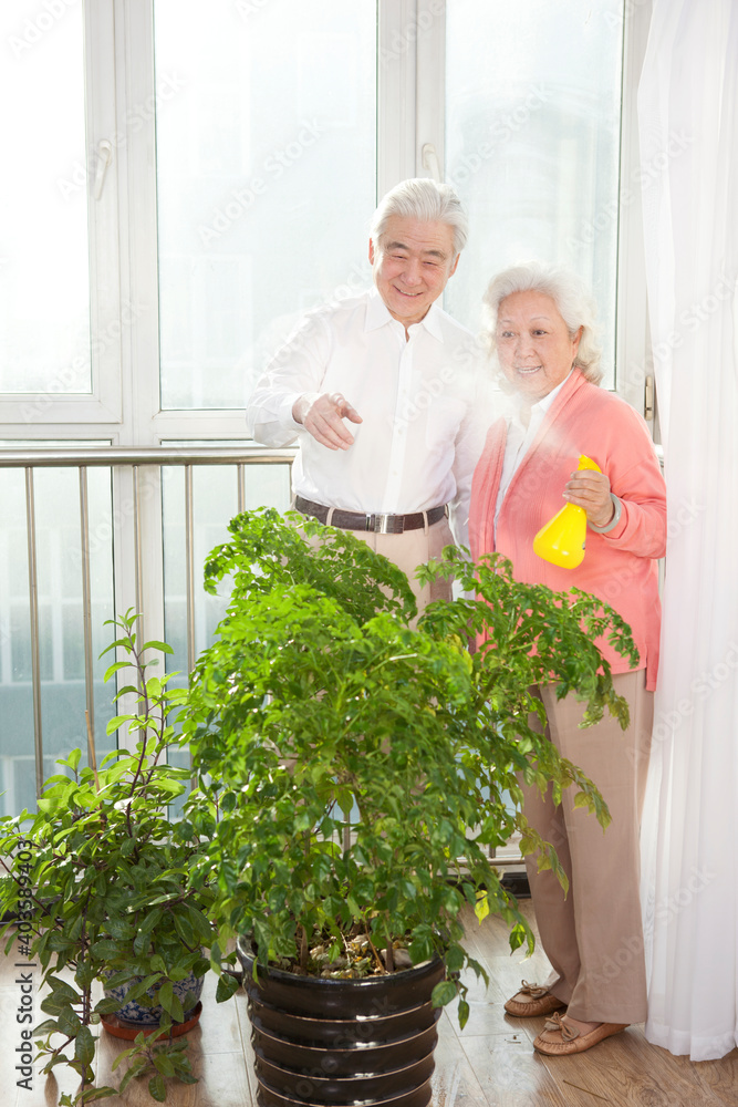 一对老夫妇正在给植物浇水
