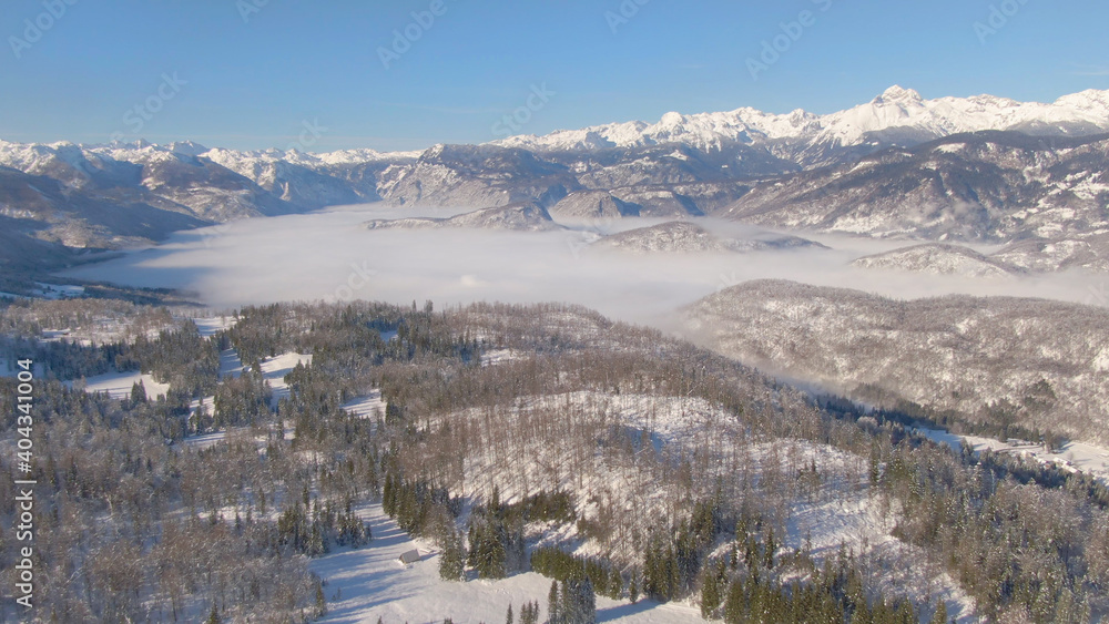 空中：雾笼罩的山谷和白雪皑皑的朱利安阿尔卑斯山的美丽鸟瞰图。