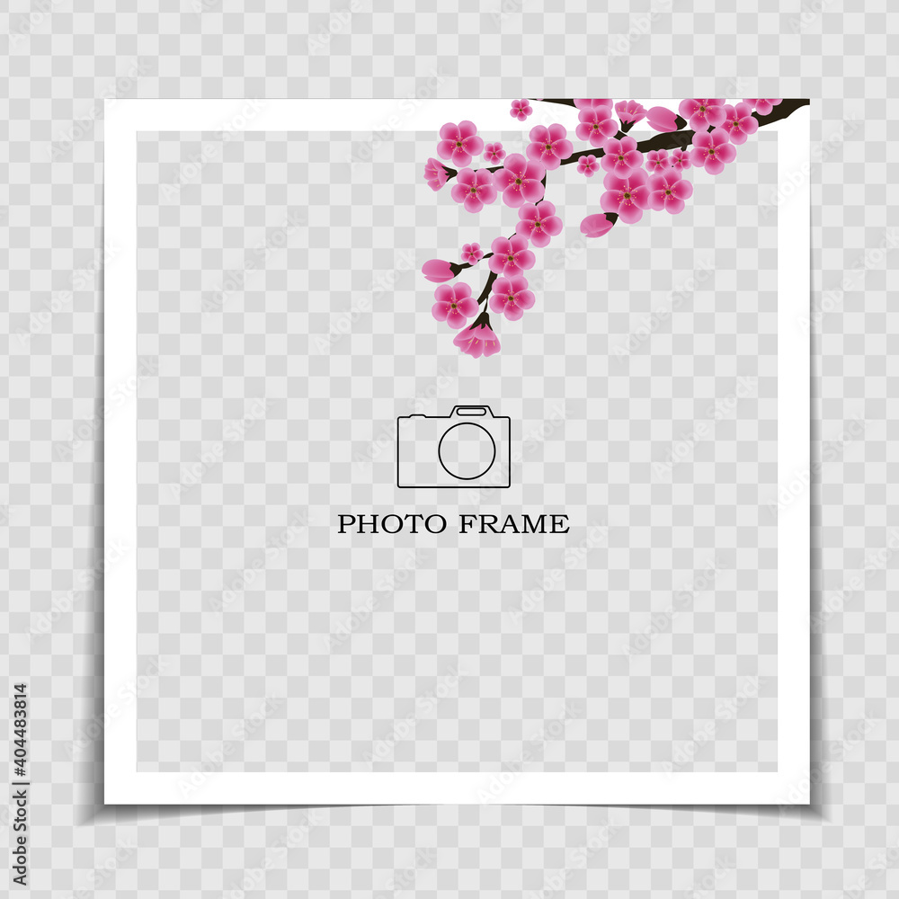 假日背景照片框架模板。Sarura，梅花背景在社交网络中发布。