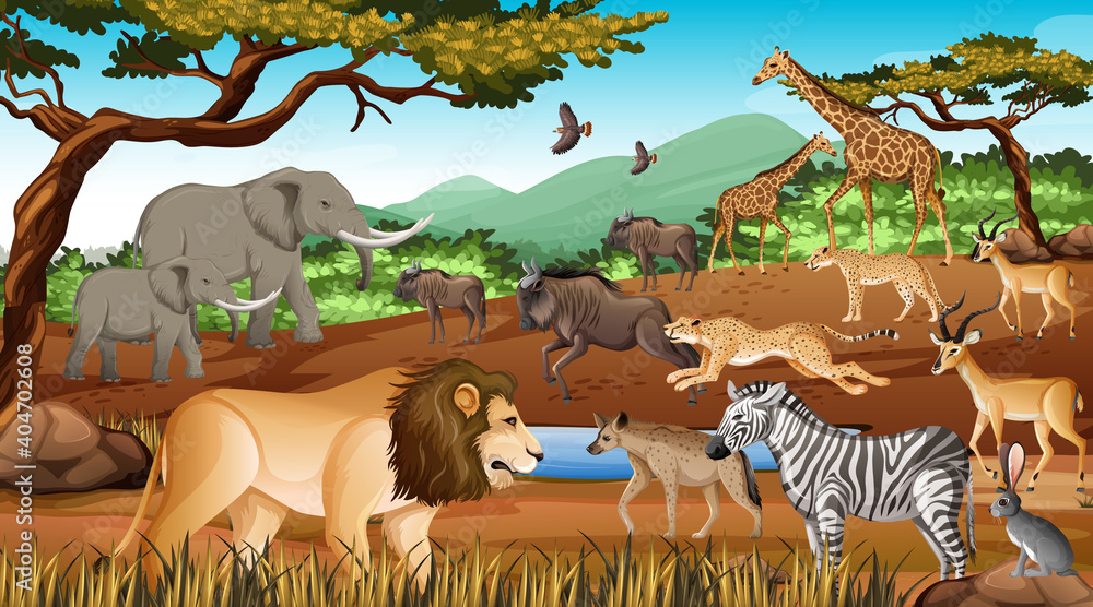 森林中的非洲野生动物群