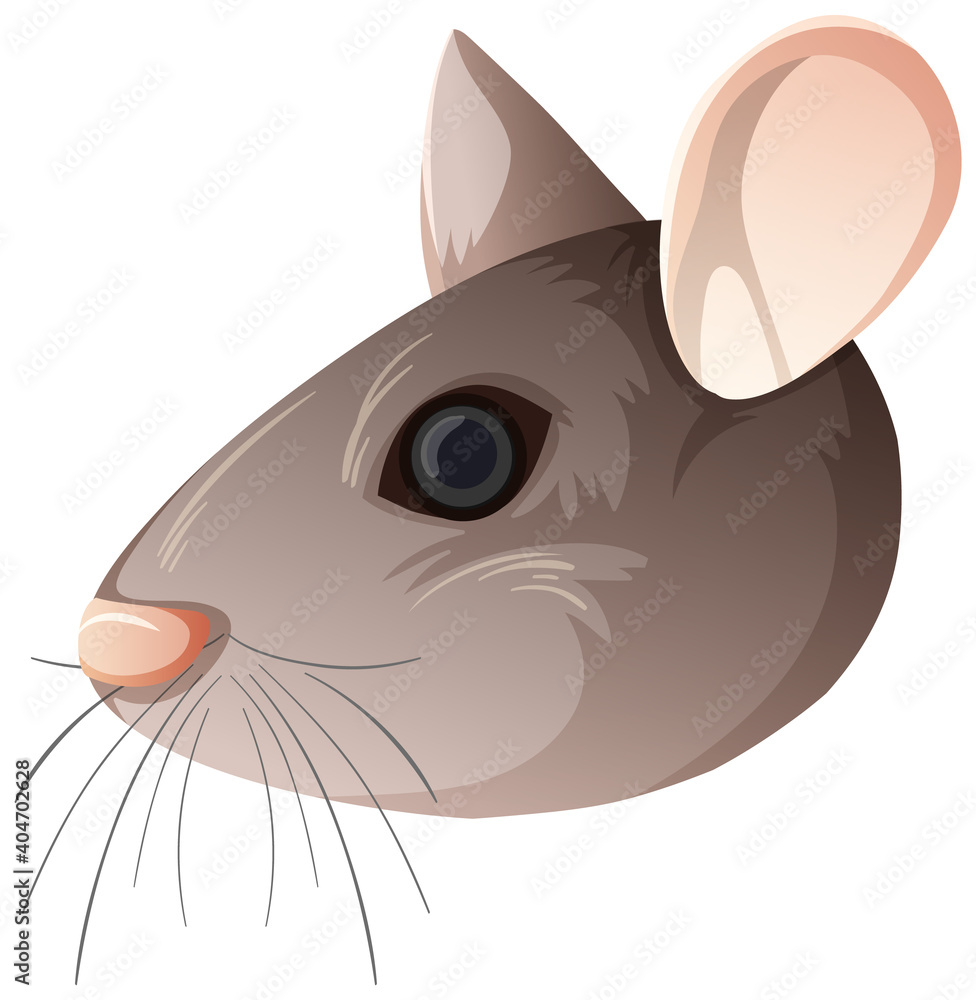 Isolated mouse head on white background