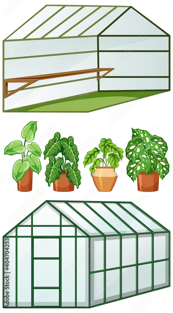 有许多盆栽植物的空温室的近距离和开放式视图