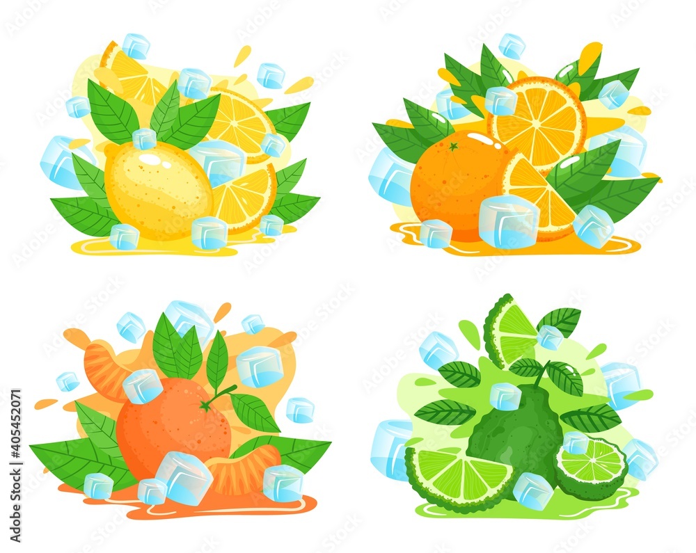 带冰块的柑橘类水果矢量插图集。卡通扁平成熟整片柑橘类水果，s