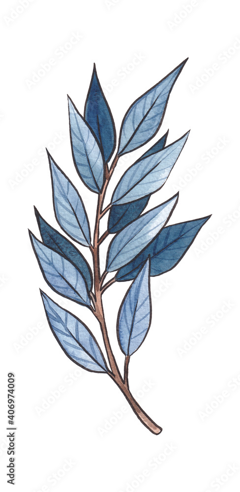 手绘水彩蓝色和绿松石树枝、叶子和花蕾在白色背景上隔离