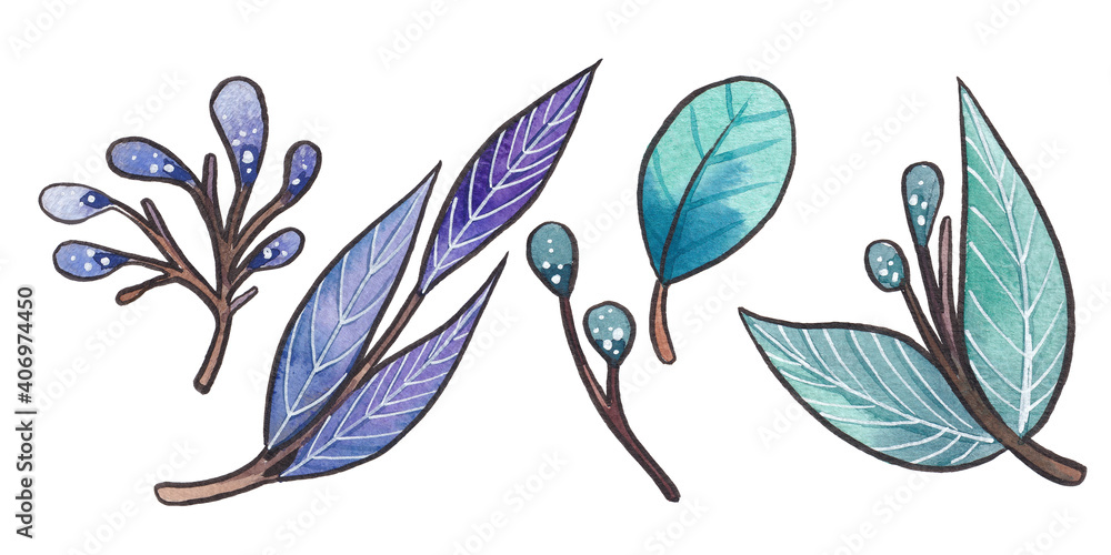 手绘水彩蓝色、紫色和绿松石树枝、叶子和花蕾，隔离在白色背景上