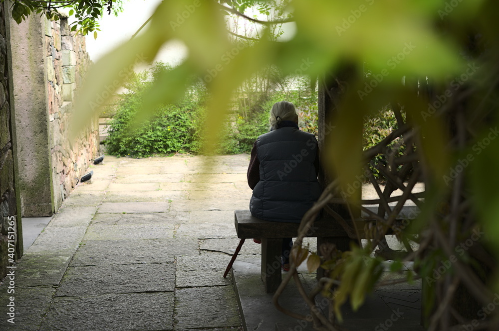 一位头发花白的老太太坐在院子里的木长椅上的背影