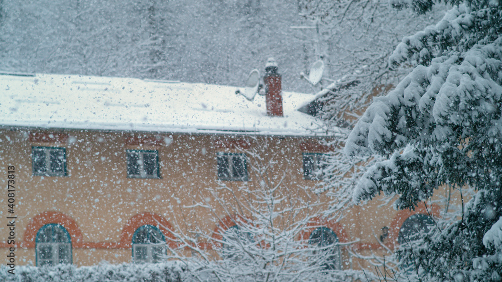特写：白色的雪花覆盖着建筑周围田园诗般的冬日森林。