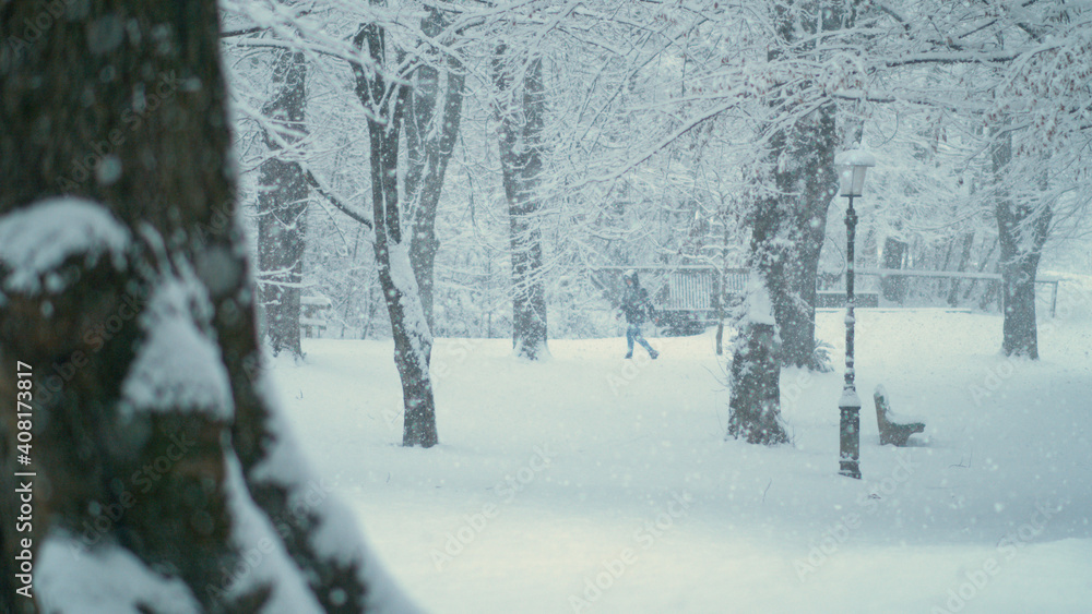 特写：暴风雪期间，远处的一个人在安静的公园里散步。