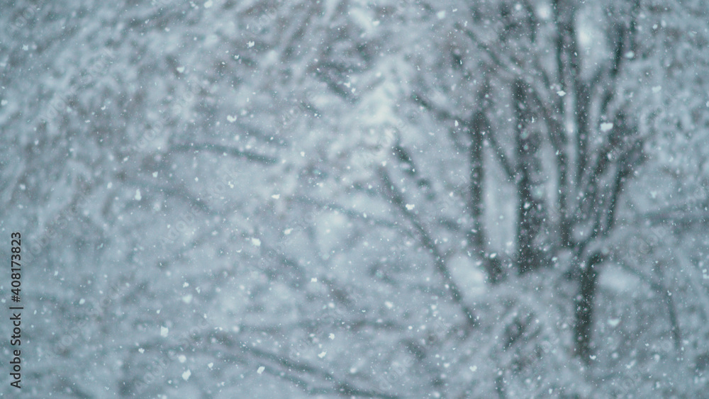 CLOSE UP, DOF: Blurry snowflakes cover the wintry avenue on cold winter morning.
