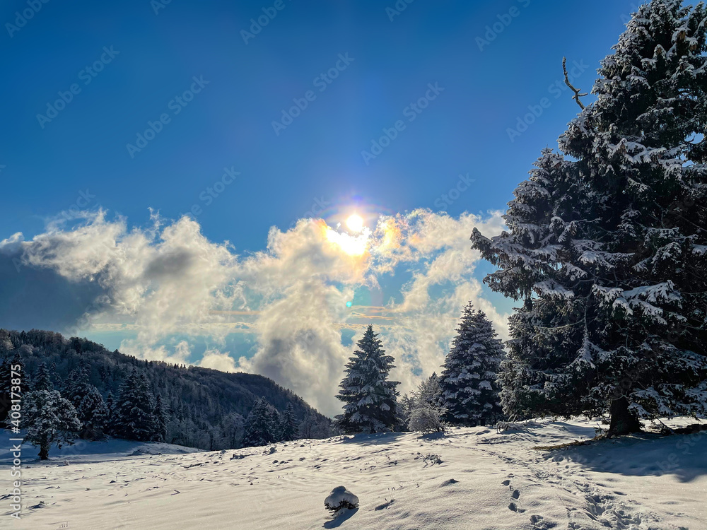 LENS FLARE：在一个阳光明媚的日子里，可以欣赏到被雪覆盖的大自然的壮观景色。