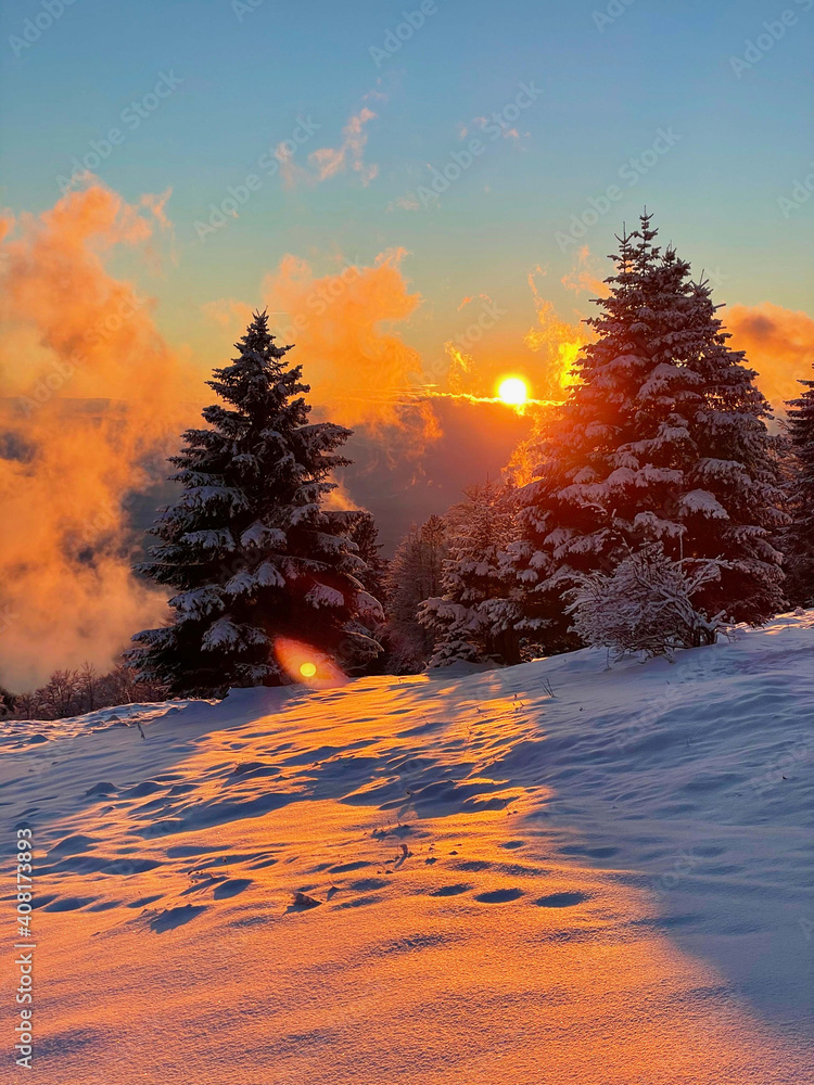 镜头闪耀：金色的傍晚阳光照耀着美丽的冬日景观。