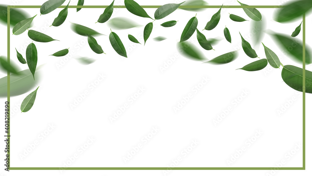 白色背景上飞舞的绿茶叶，带有文本空间