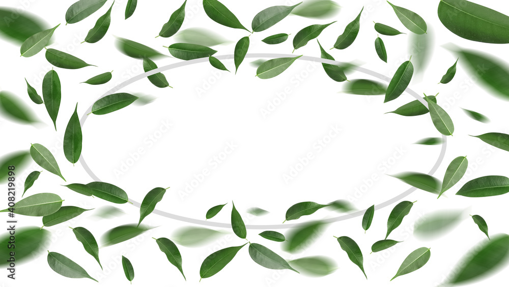 白色背景下飞翔的绿茶叶子制成的框架