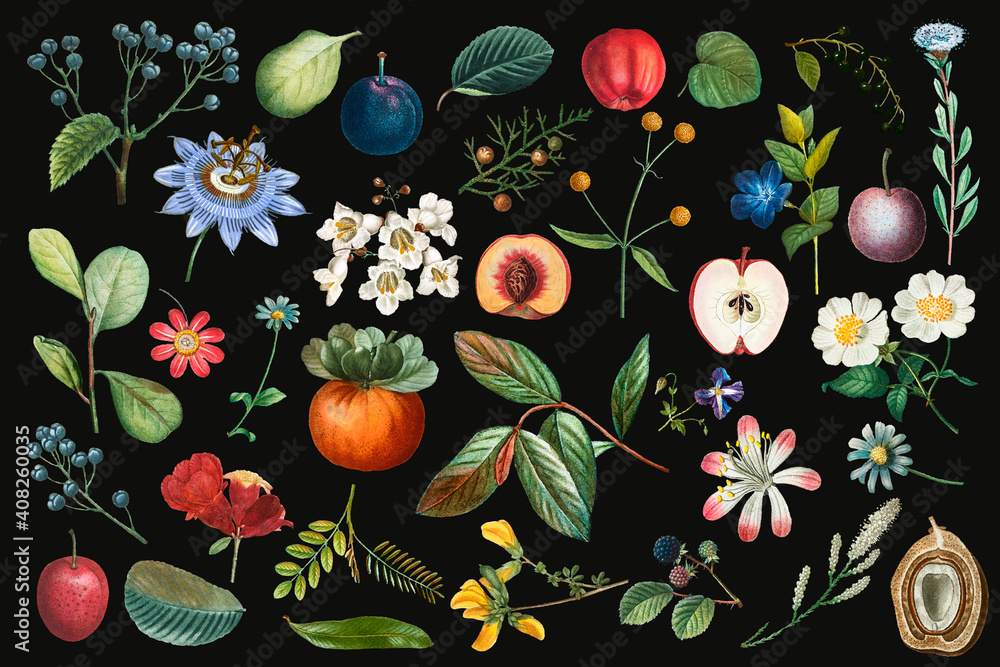 水果和花卉复古套装手绘插图