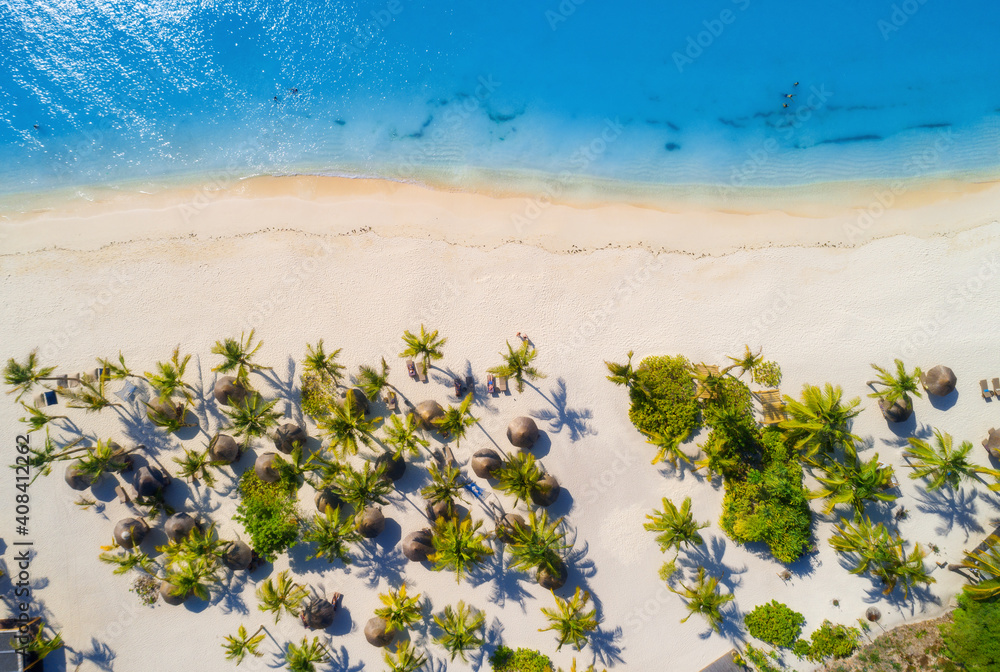阳光明媚的印度洋沙滩上的雨伞和棕榈树鸟瞰图。夏日度假