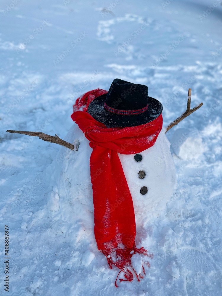 垂直：可怜的雪人戴着黑色帽子，在雪地里慢慢融化。