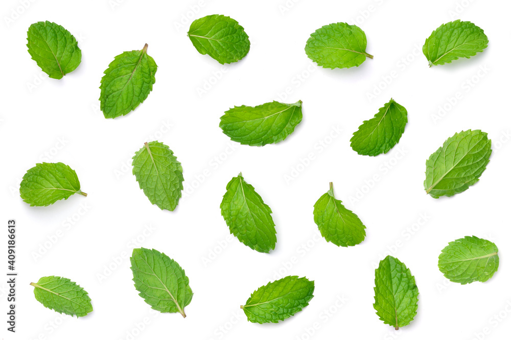 Top view of Mint leaves pattern isolated on white background.