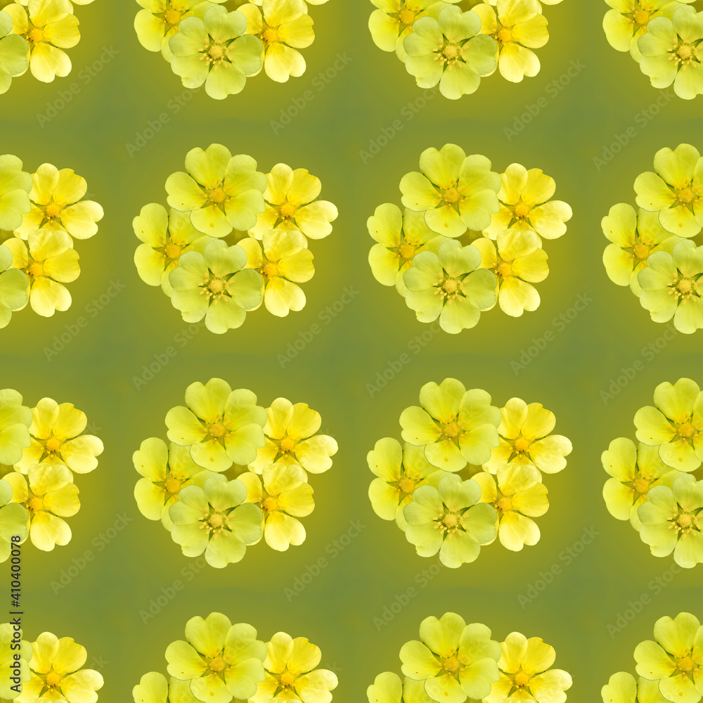 无缝图案春花构图，黄色花朵。