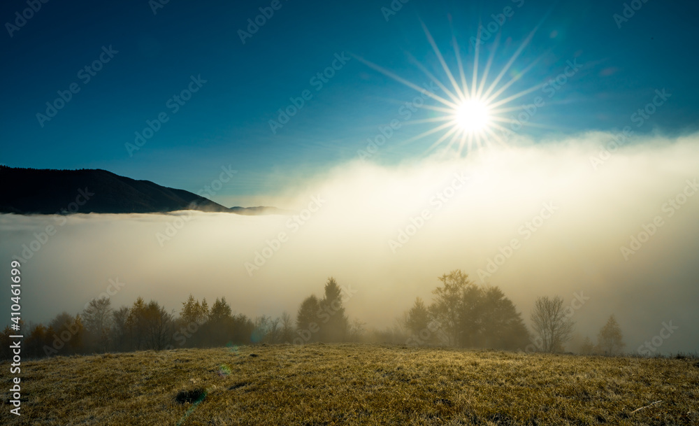 清晨和冰冻的草地在明亮的阳光下被雾覆盖
