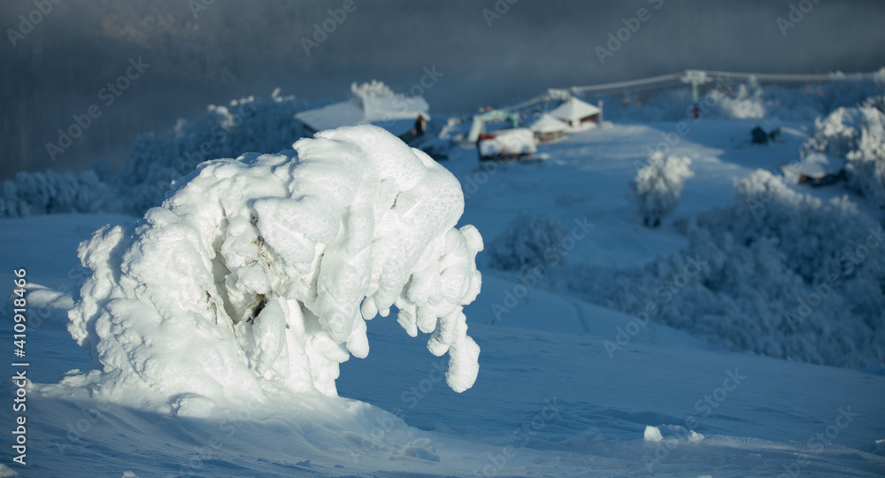 山上被雪覆盖的树，形状像大象或狗。