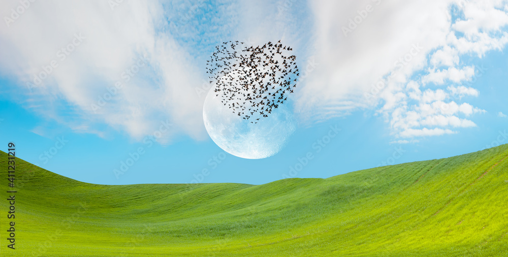 在背景满月El中，鸟在绿草地上空以心形飞行的剪影