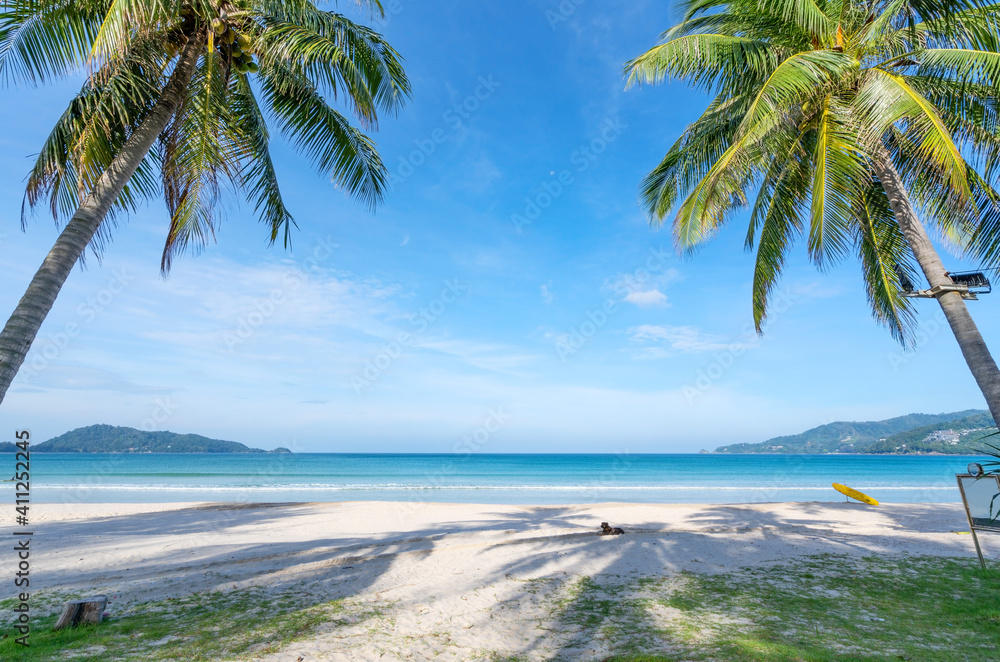 普吉岛巴东海滩的椰子树和绿松石海。夏季自然度假和热带动物