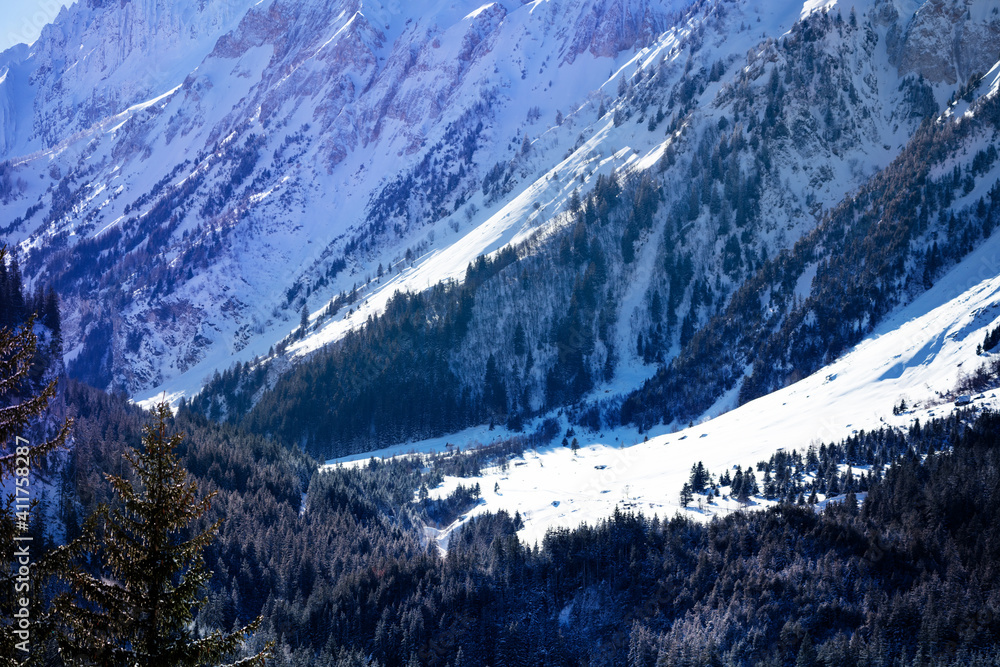 Pralognan la Vanoise山谷在冬季被雪覆盖时的山景