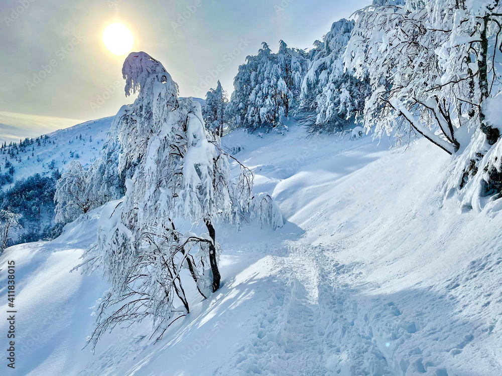 在厚厚的粉雪中形成的空旷的徒步小径沿着阿尔卑斯山的一座风景优美的山丘延伸。