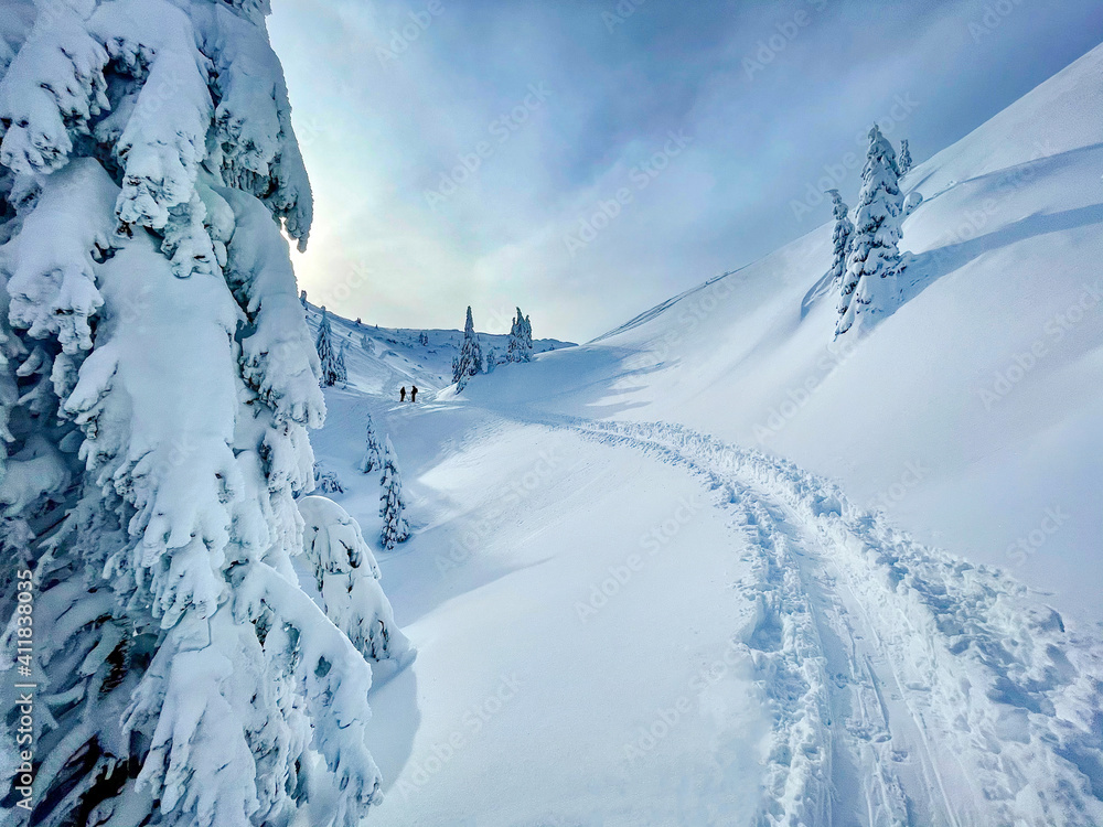 空旷的徒步旅行路线上有两名滑雪游客在观察冬季的风景。