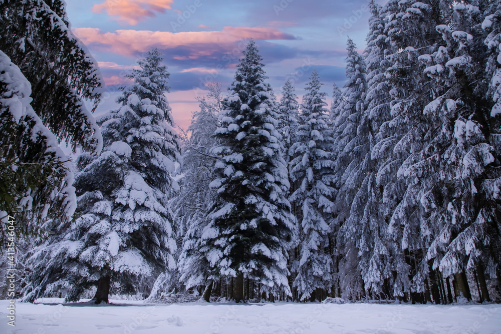冰霜的冬日，高山上的树木被雪花覆盖
