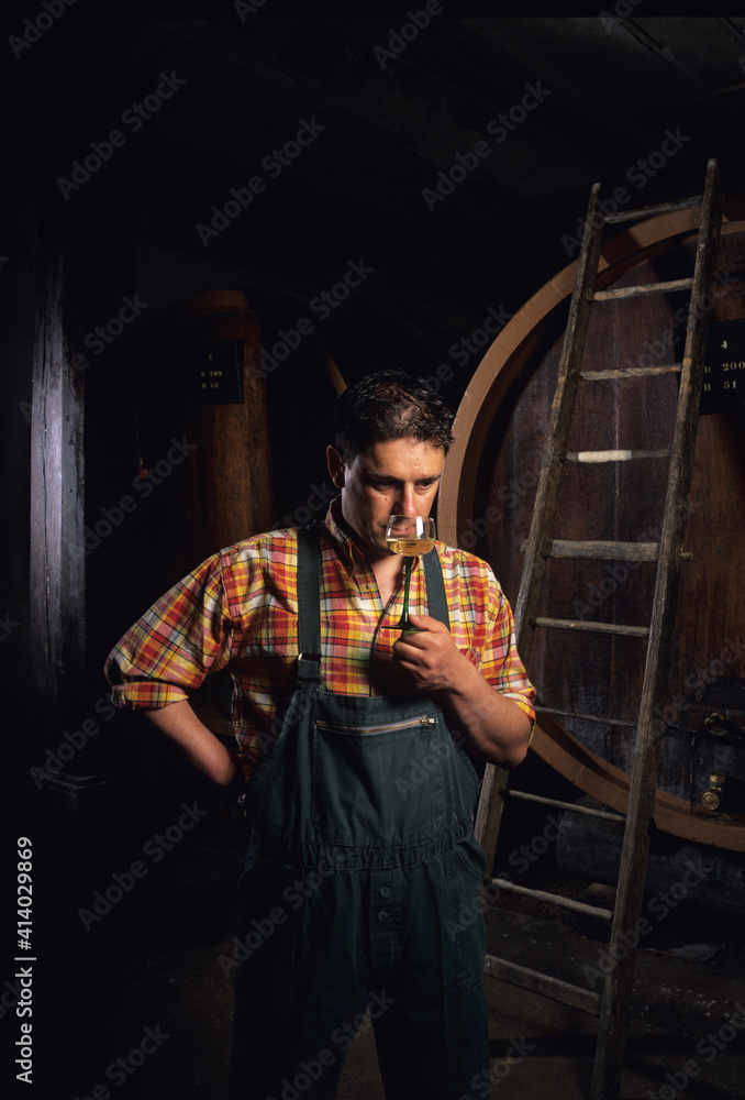 Viticulteur dans une cave avec des cuves en bois qui goûte son vin en Alsace