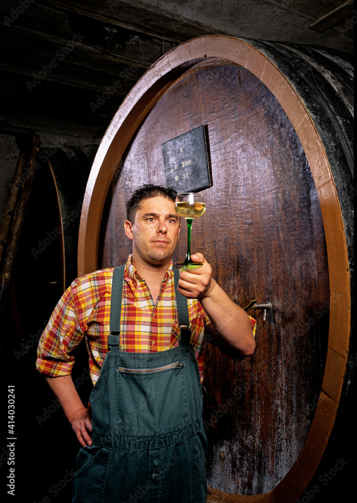 Viticulteur dans une cave avec des cuves en bois qui goûte son vin en Alsace