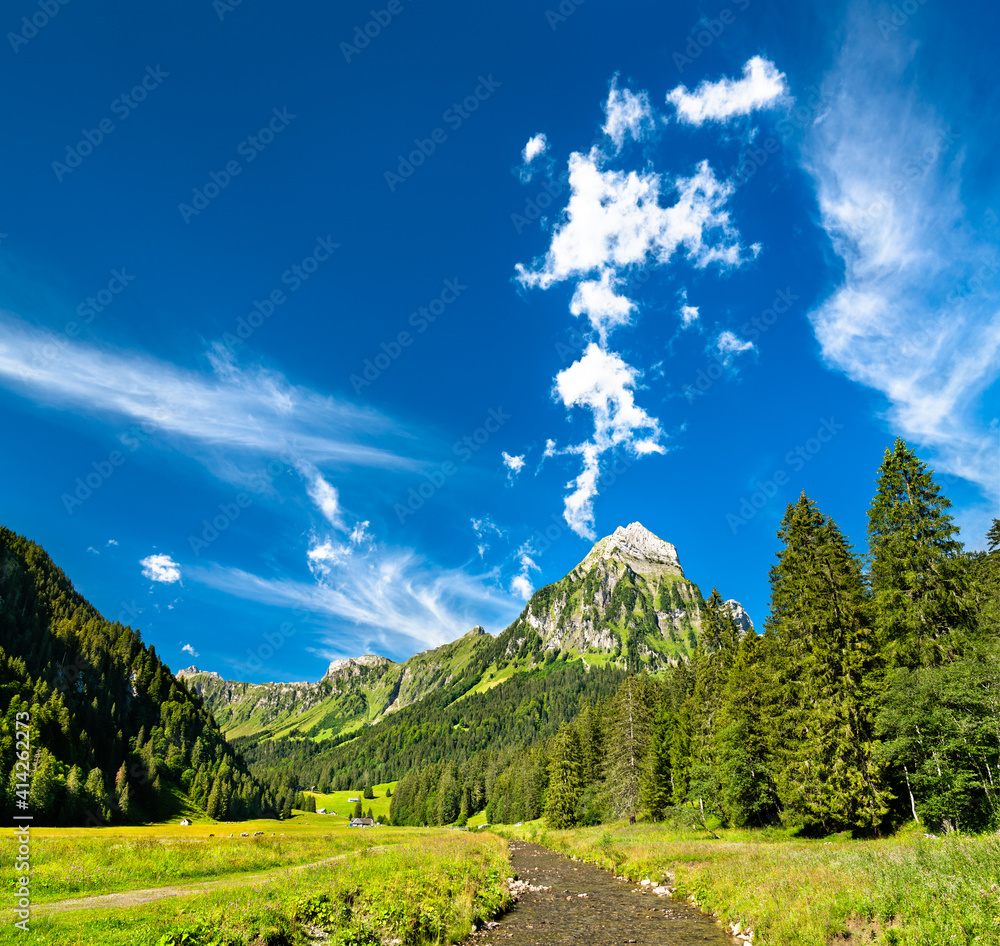 瑞士阿尔卑斯山Obersee山谷的Brunnelistock山和Sulzback溪景观