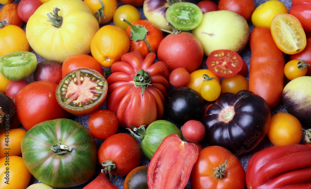 不同形状和颜色的番茄特写选择性聚焦，收获番茄。