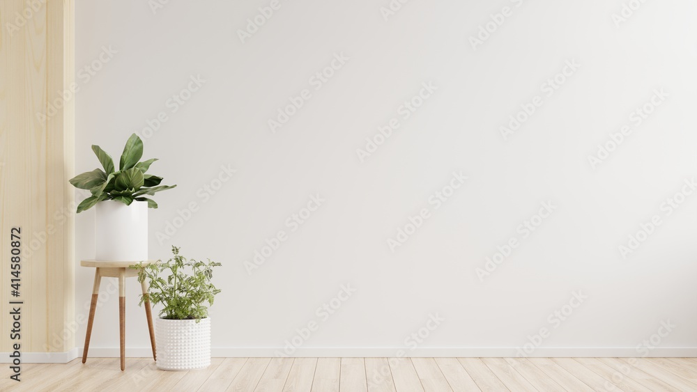 白色墙壁的空房间，地板上有植物。