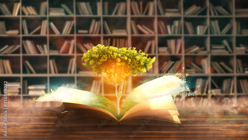 打开图书馆桌子上长着一棵树的魔法书