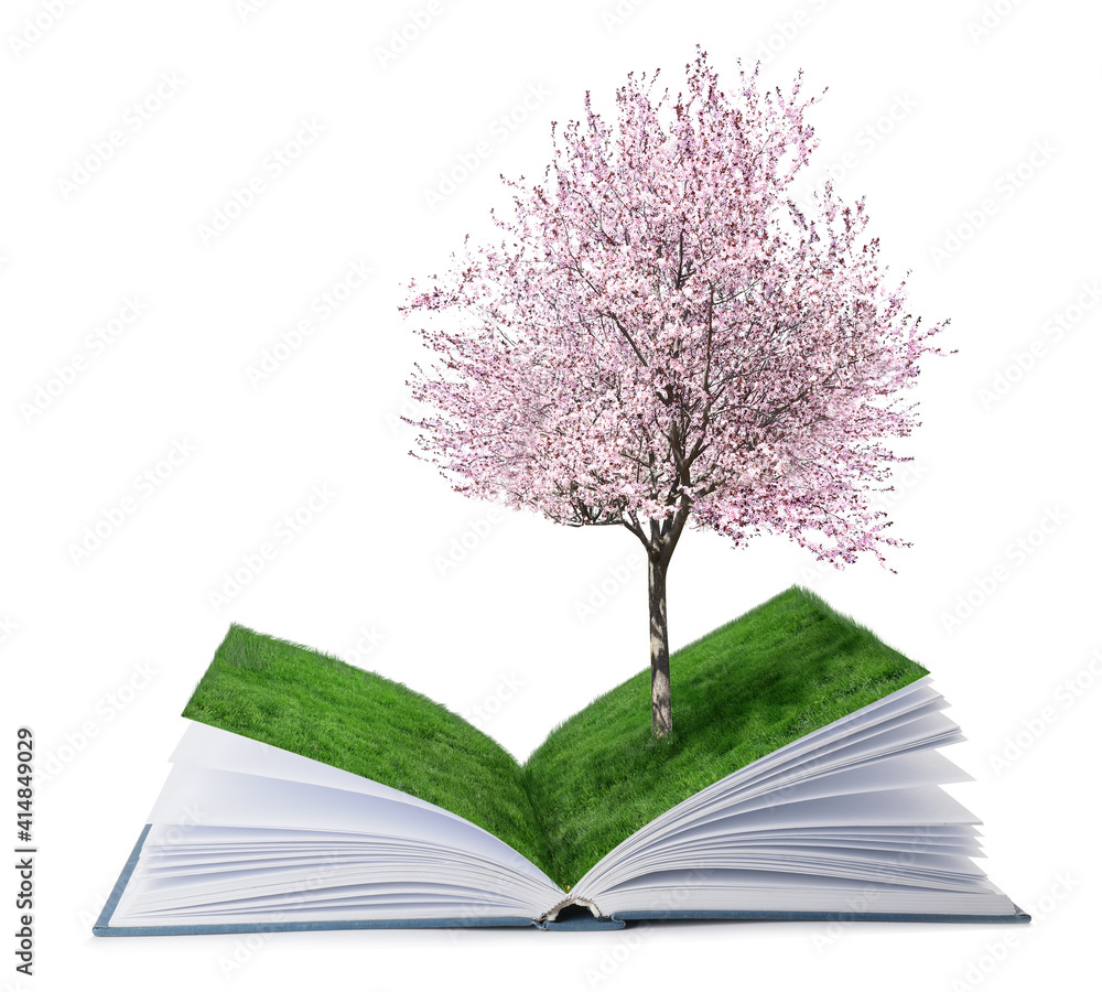 打开白色背景下生长的春天树的魔法书