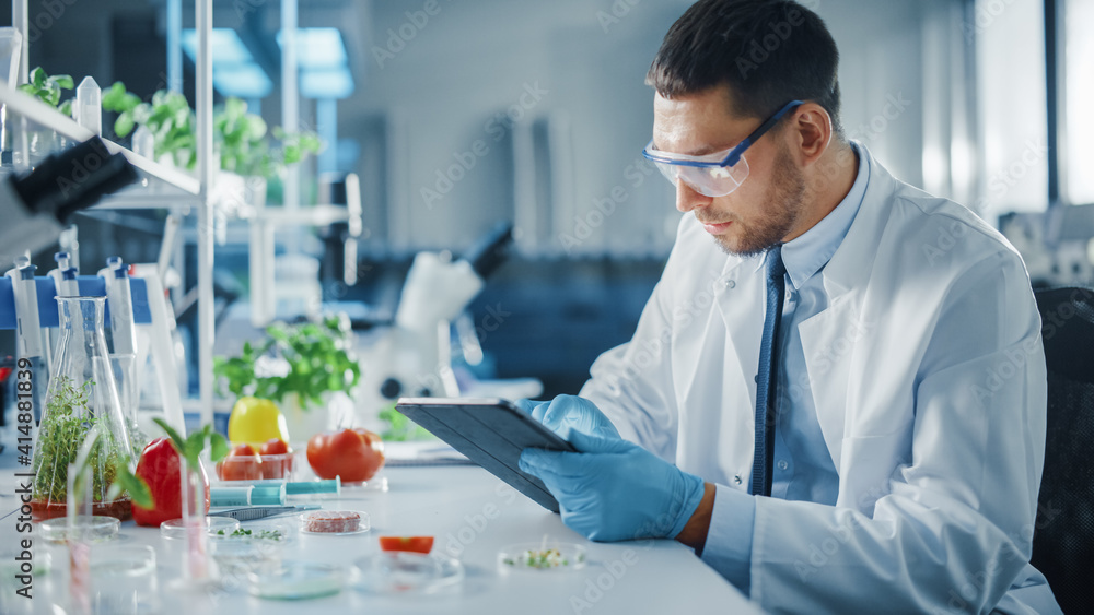 Male Microbiologist is Using Digital Tablet Computer. Medical Scientist Working on Plant-Based Beef 