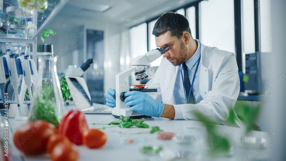 戴着安全眼镜的英俊男科学家通过高级显微镜分析实验室种植的番茄