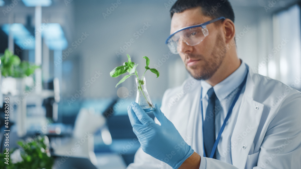 英俊的男性微生物学家在样品瓶中观察健康的绿色植物。医学科学家W
