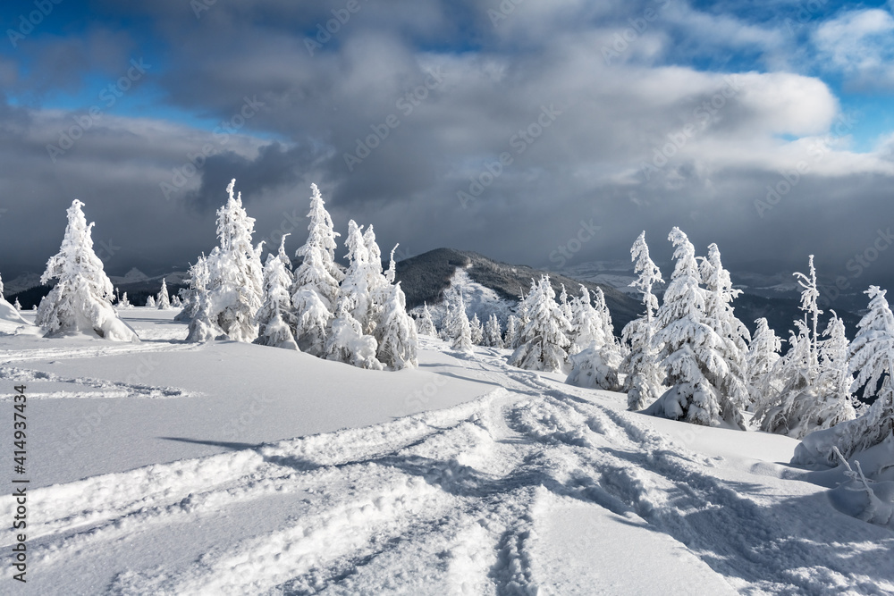 冬季山区有白雪皑皑的树木和免费滑雪道的奇妙景观